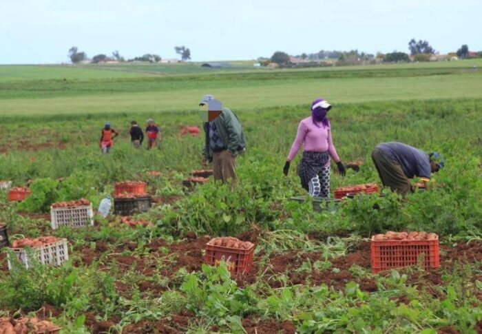 مجال الفلاحة والوسط القروي